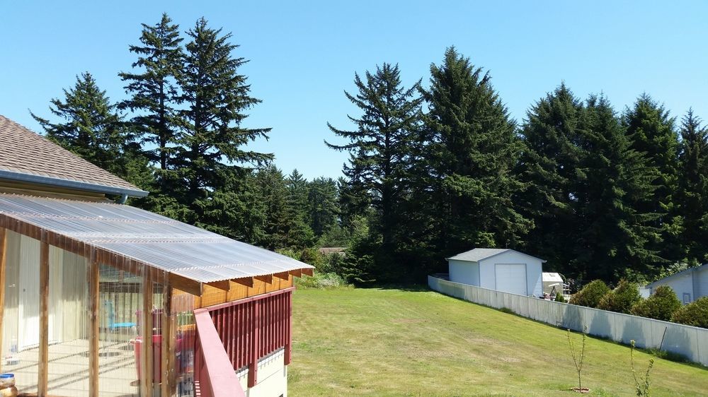Arky'S B&B Smith River Bagian luar foto